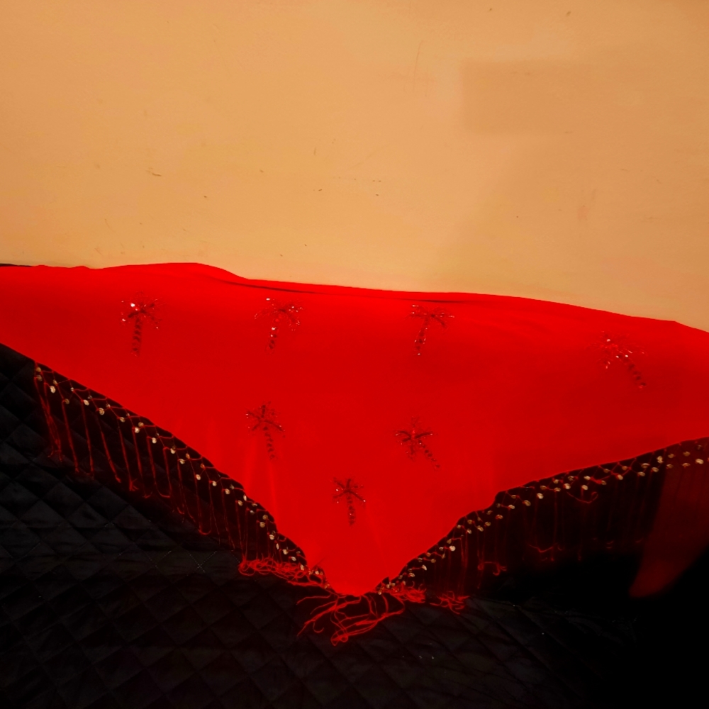 Silk Shawl 50/30 ,beaded palms  ,with marine shell, $30 - Picture 2 of 4